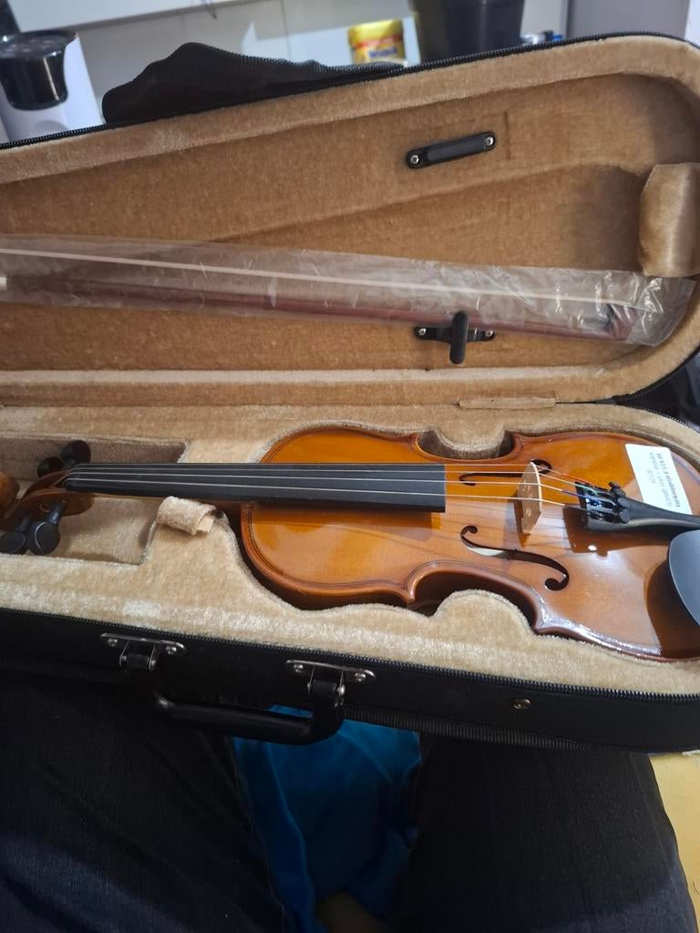 Scarlatti Viool, Ophalen of Verzenden