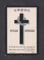 Bidprentje Van Buggenum Ummels Wessem 1917., Ophalen of Verzenden, Bidprentje