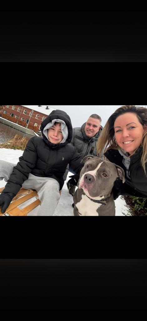 Honden oppas gezocht?, Eén persoon, Cadeaubon