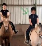 Verzorger aangeboden / verzorgpony gezocht (omgeving didam), Ophalen of Verzenden, Nieuw