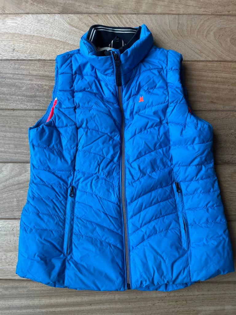 Gaastra Bodywarmer Blauw dames L, Ophalen of Verzenden, Zo goed als nieuw, Maat 42/44 (L), Blauw