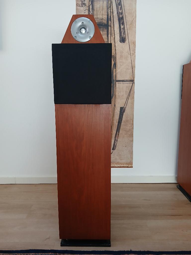 Peitho 303 tweeweg open baffle speaker, Gebruikt, 60 tot 120 watt, Front, Rear of Stereo speakers, Ophalen