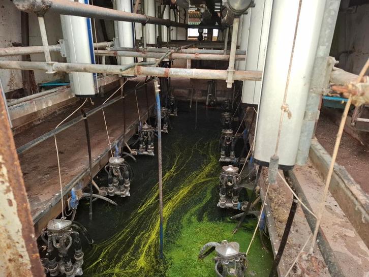 alpha DeLeval melkstal met toebehoren, Dieren en Toebehoren, Stalling en Weidegang, Toebehoren