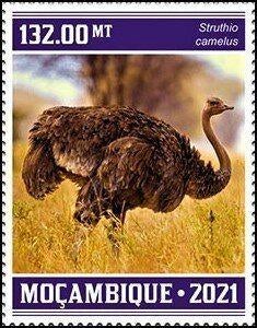85 Veiling 17-18 en 19 April. Mozambique, Ophalen of Verzenden, Postfris, Dier of Natuur