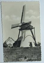 Scharendijke ( Zld. ) Molen De Lelie, Verzenden, 1960 tot 1980, Gelopen, Zeeland