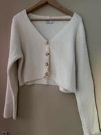 Diverse kledingstukken: truien en vesten (S/M), Kleding | Dames, Truien en Vesten, Ophalen of Verzenden, Gedragen, Maat 36 (S)