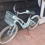 Alpina Ocean meisjesfiets 22 inch mintkleurig, Ophalen, 22 inch, Gebruikt, Handrem