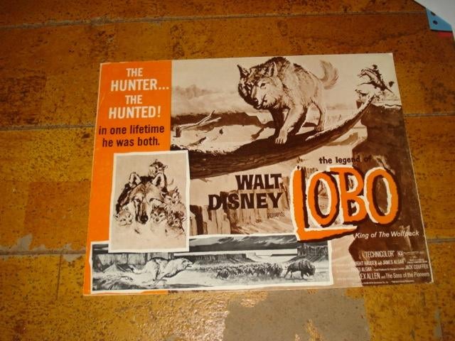The legend of Lobo Filmfoto/ Lobbycard 1962 Disney, Ophalen of Verzenden, Zo goed als nieuw, Overige typen