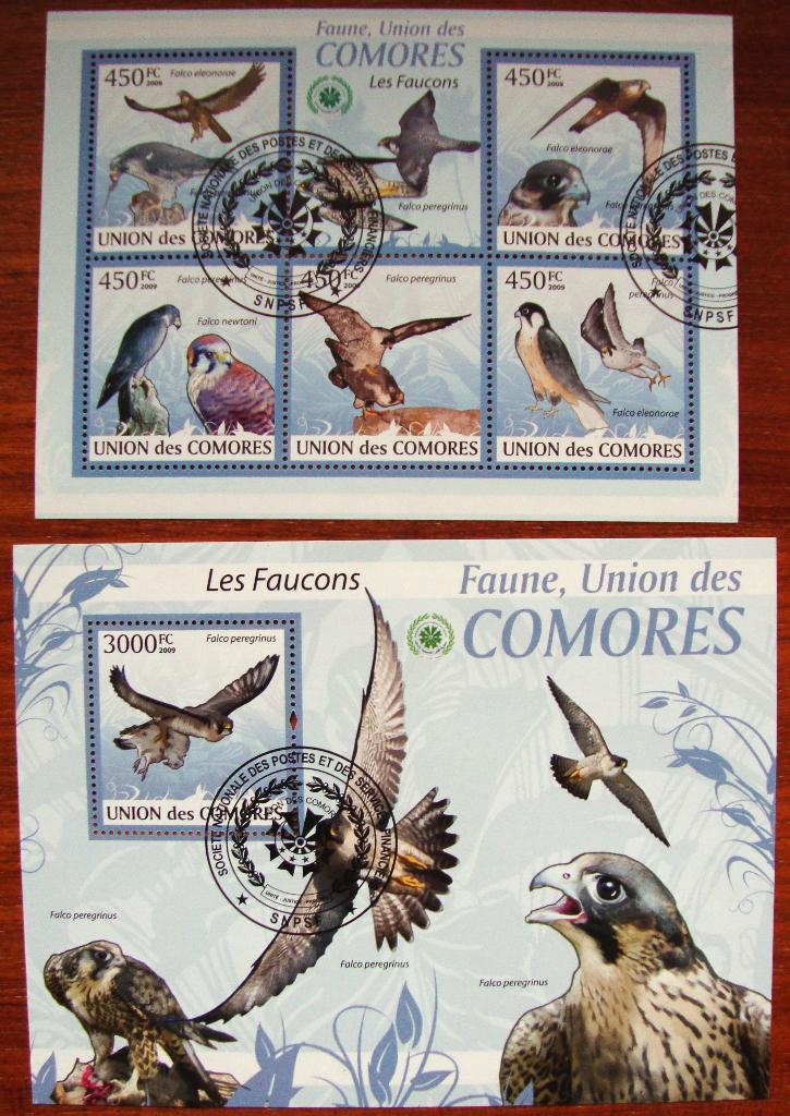 - 669 - 2 Blokken met Haviken. Vogels., Postzegels en Munten, Postzegels | Thematische zegels, Gestempeld, Dier of Natuur, Verzenden