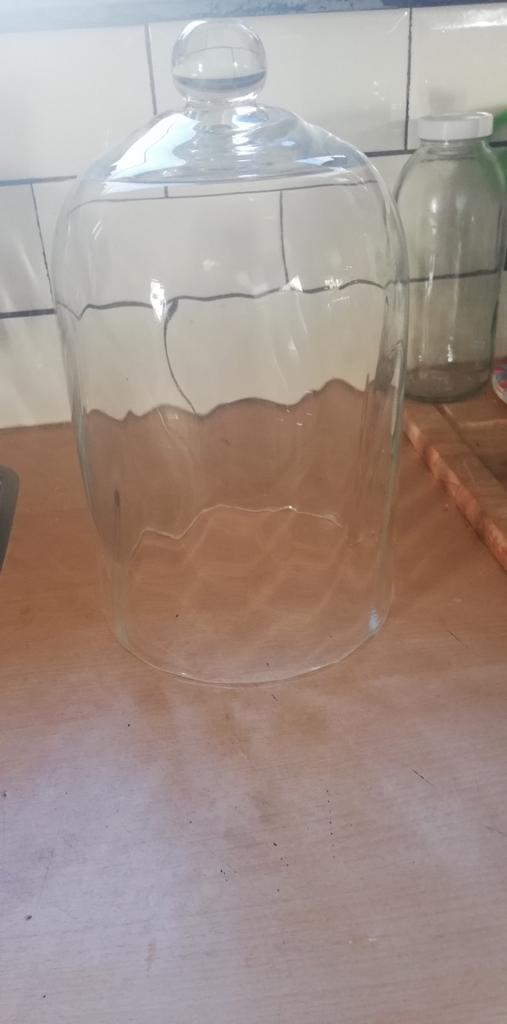 Glazen stolp voor decoratie of presentatie, Huis en Inrichting, Woonaccessoires | Stolpen, Ophalen of Verzenden, Zo goed als nieuw
