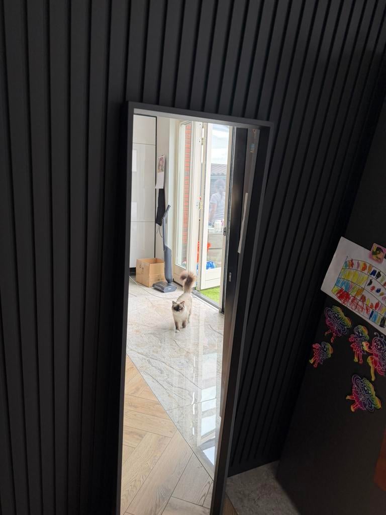 Spiegel ikea 40x 150cm, Huis en Inrichting, Woonaccessoires | Spiegels, Ophalen of Verzenden, Zo goed als nieuw, Rechthoekig, Minder dan 50 cm