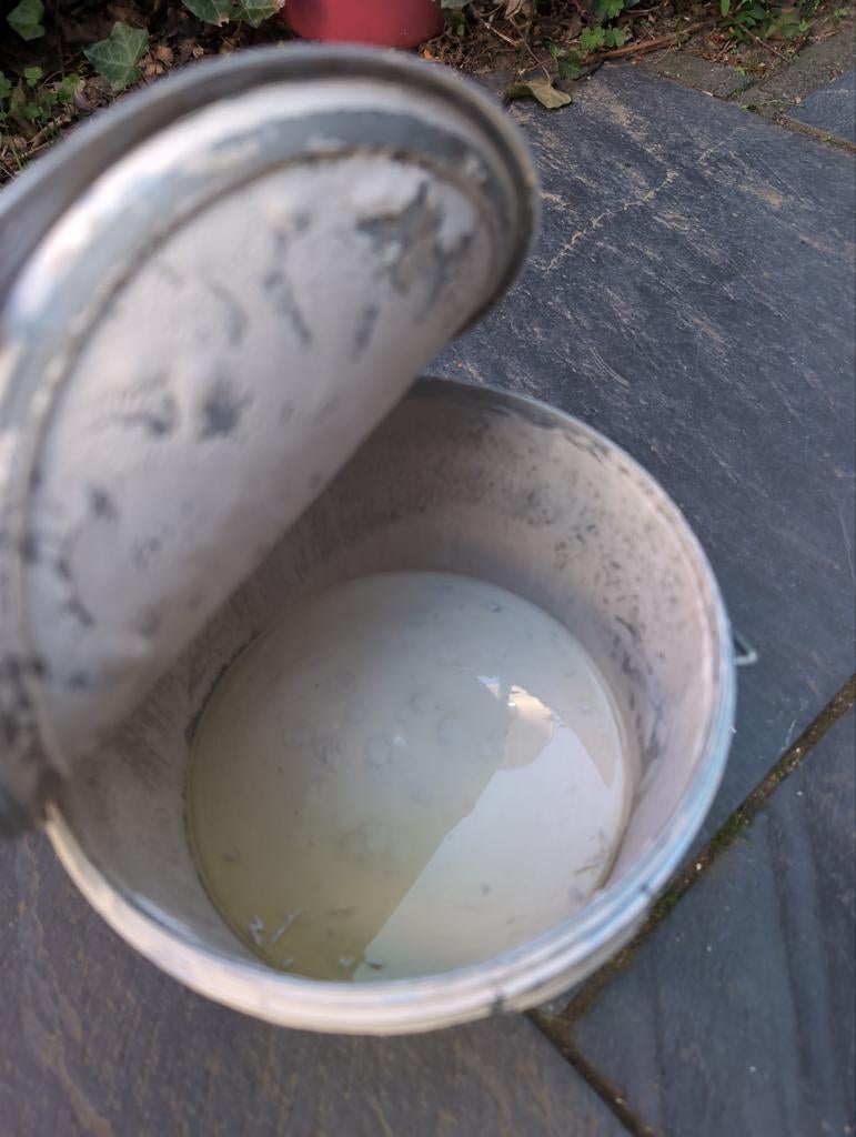 Restje grijze muurverf (Sigma Voice of Colour PPG1022-2), Ophalen, Gebruikt, Verf, Grijs