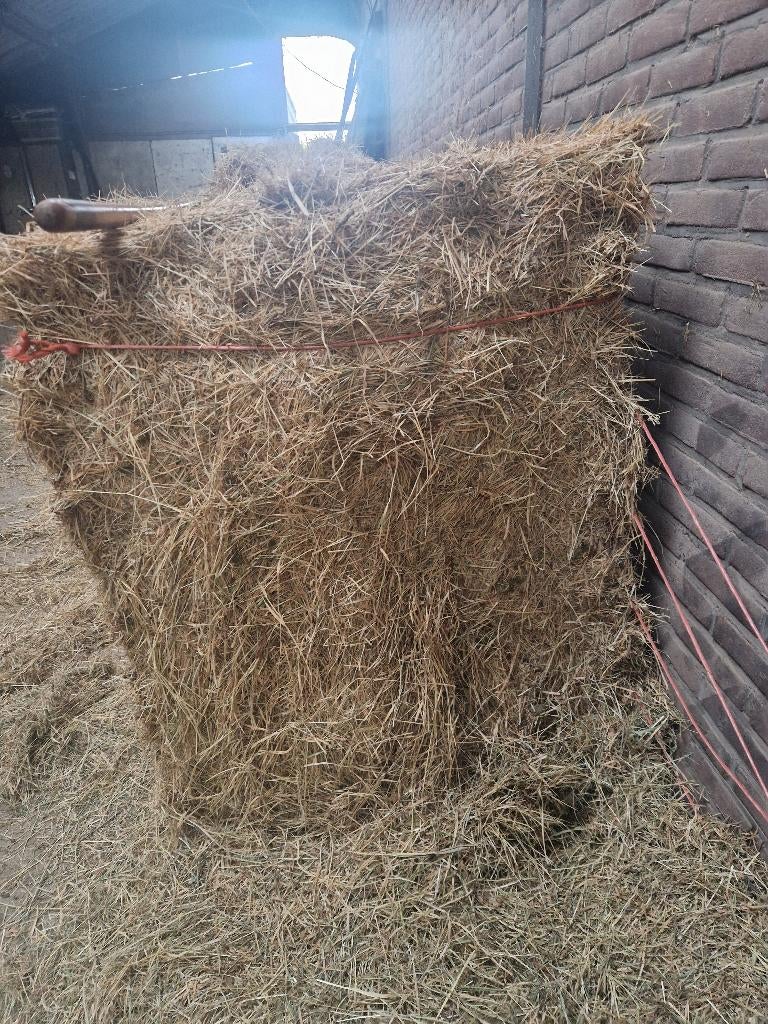 TE KOOP GROTE BALEN WEIDE HOOI VAN 2025, Dieren en Toebehoren, Dierenvoeding, Ophalen, Vee