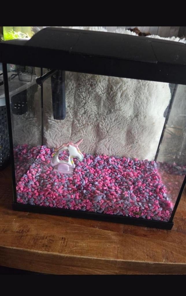 Superfish aquarium start 30, Ophalen, Zo goed als nieuw, Leeg aquarium, Superfish