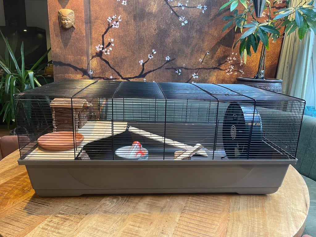 Hamster/konijnen kooi, Dieren en Toebehoren, Kooi, Gebruikt, Hamster, 75 tot 110 cm