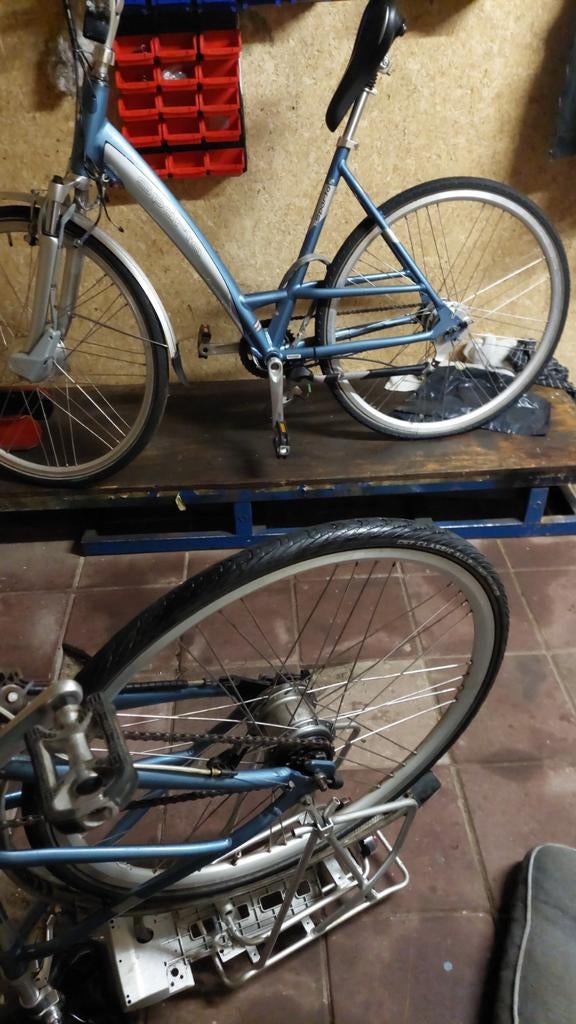 Onderdelen Sparta C2 Emotion Elektrische Fiets, Elektrische fiets, Sparta, Gebruikt, Overige materialen