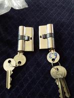 Cilinderslot met sleutels, Ophalen of Verzenden, Nieuw, Rvs, Slot
