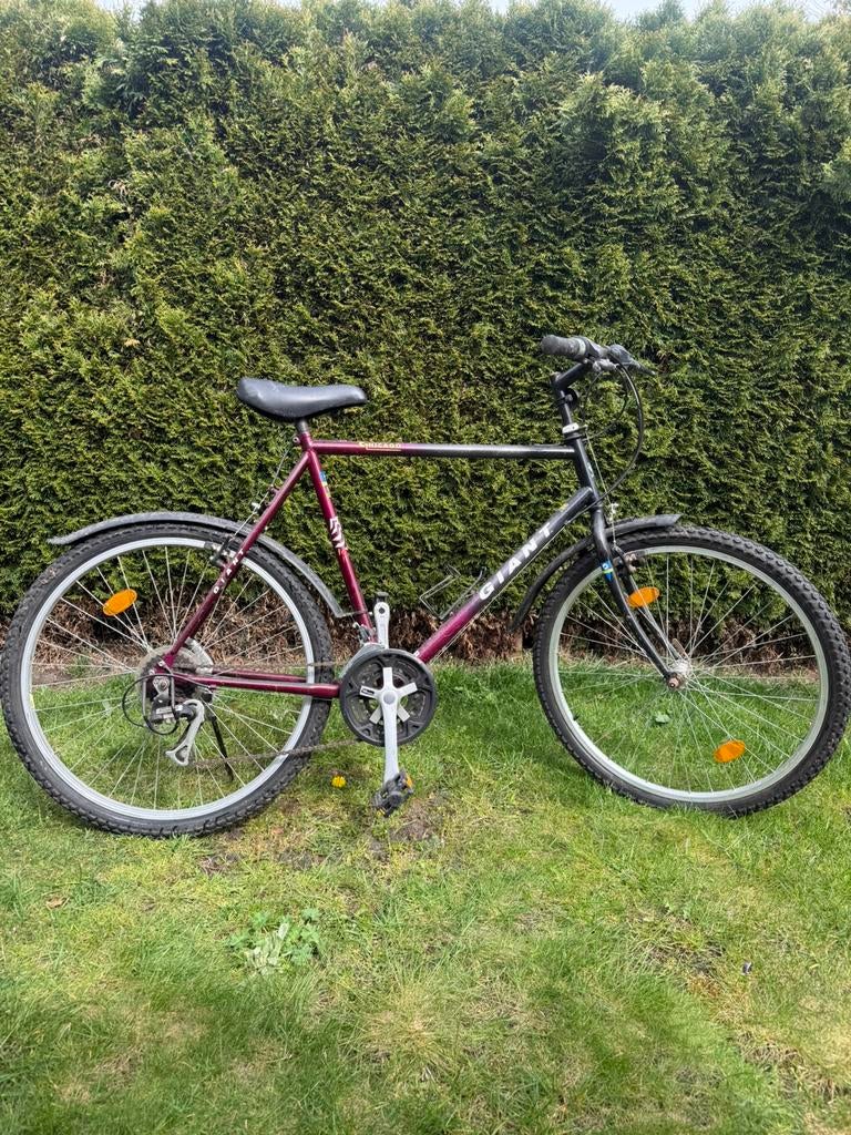 Giant mountainbike, Fietsen en Brommers, 53 tot 57 cm, Ophalen, Zo goed als nieuw, Giant