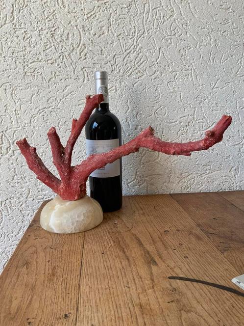 Antieke Grote Tak Mediteraan Bloedkoraal Paleontologie, Hobby en Vrije tijd, Kralen en Sieraden maken, Zo goed als nieuw, Kraal