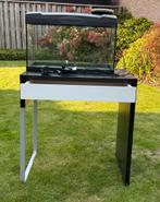 Aquarium, Dieren en Toebehoren, Ophalen, Zo goed als nieuw, Leeg aquarium