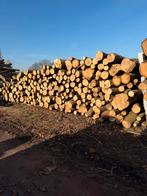 Brandhout haardhout stookhout kachelhout op stam, 6 m³ of meer, Verzenden