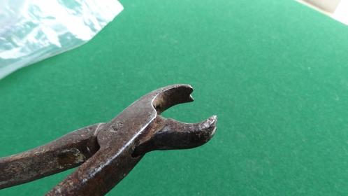 Zeldzame Hand gesmede tandarts tang - 18e eeuw, Antiek en Kunst, Antiek | Overige Antiek, Ophalen of Verzenden