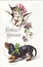 Kaart met relief 1915 - Teckel Poes Hond Kat - Gefeliciteerd, Ophalen of Verzenden, Voor 1920, Gelopen, Feest(dag)