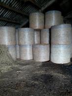 Grote balen hooi, Dieren en Toebehoren, Ophalen, Vee