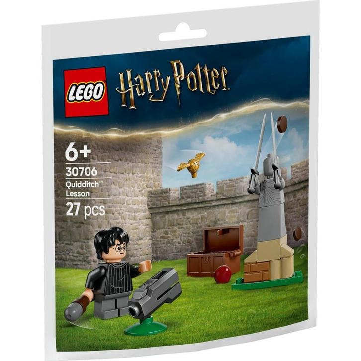 Lego Harry Potter 30706 Zwerkbal les NIEUW in Verpakking, Kinderen en Baby's, Speelgoed | Duplo en Lego, Nieuw, Lego, Complete set