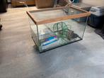 Knaagdieren terrarium, Minder dan 60 cm, Kooi, Gebruikt, Minder dan 75 cm