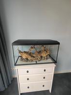 Twee grote scheepswrakken aquarium/grote aquariumdecoratie, Ophalen, Gebruikt, Sierelement