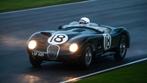 CMC Jaguar C-Type Le Mans Winner 18 Groen nieuw, Ophalen of Verzenden, Nieuw, Auto, Overige merken
