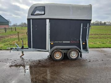 Hotra salinero 1,5 paards trailer beschikbaar voor biedingen
