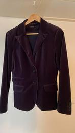 Donkerpaars fluwelen blazer/ colbert jasje, Kleding | Dames, Jasjes, Kostuums en Pakken, Ophalen of Verzenden, Zo goed als nieuw