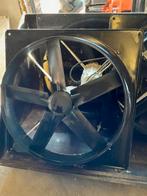 ventilator, Dieren en Toebehoren, Schapen, Geiten en Varkens, Mannelijk, Schaap