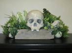 Skull & Crossbones, handgemaakte Schedel mens, LARP & toneel, Huis en Inrichting, Nieuw, Ophalen of Verzenden, Memento mori historic art rariteitenkabinet Pirates skull