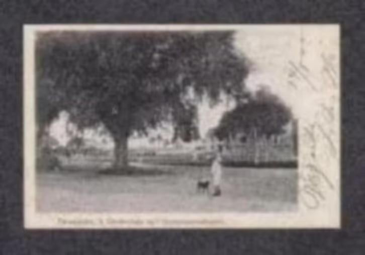 Suriname Paramaribo Donderdags Gouvernementsplein 1905., Ophalen of Verzenden, Voor 1920, Gelopen, Buiten Europa
