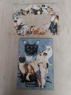 Mooie ansicht kaart met envelop Siamese katten NIEUW, Verzamelen, Ophalen of Verzenden, Ongelopen, Hond of Kat