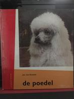 Boek POEDEL, Honden, Zo goed als nieuw, Jan van Rheenen, Ophalen