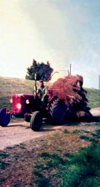 Wie wil en kan oldtimer trekker Bukh 302 1961 klaar maken, Ophalen