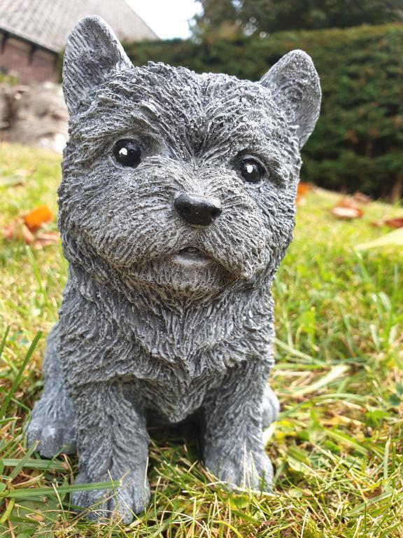 bouvier , hond van steen, Verzamelen, Beelden en Beeldjes, Nieuw, Dier, Ophalen of Verzenden