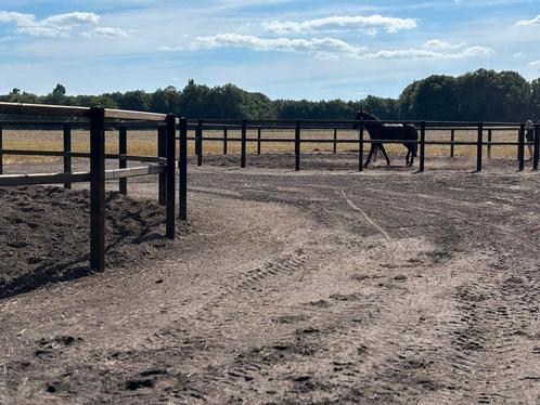2 stuks longeercirkel., Dieren en Toebehoren, Paarden en Pony's | Overige Paardenspullen, Ophalen of Verzenden