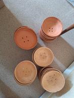 Broedschalen, Meerdere dieren, Postduif