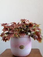 Retro vintage bloempot hangpot Adrie Moerings, Tuin en Terras, Bloempotten, Rond, Ophalen of Verzenden, Zo goed als nieuw, Aardewerk