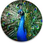 Wandcirkel glas pauw 50 cm, Antiek en Kunst, Ophalen