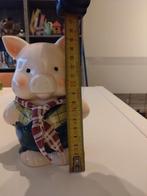 Leuke Spaarpot Varken met Kleding, Ophalen, Zo goed als nieuw