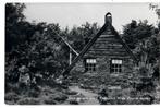 Steenbergen - Plaggehut in de Zuurse duinen, Verzamelen, Ansichtkaarten | Nederland, Verzenden, 1940 tot 1960, Ongelopen, Drenthe