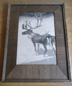 Hoff A.J. van 't Hoff litho Amsterdamse School rendier, Minder dan 50 cm, Gebruikt, Tekening, Ophalen of Verzenden