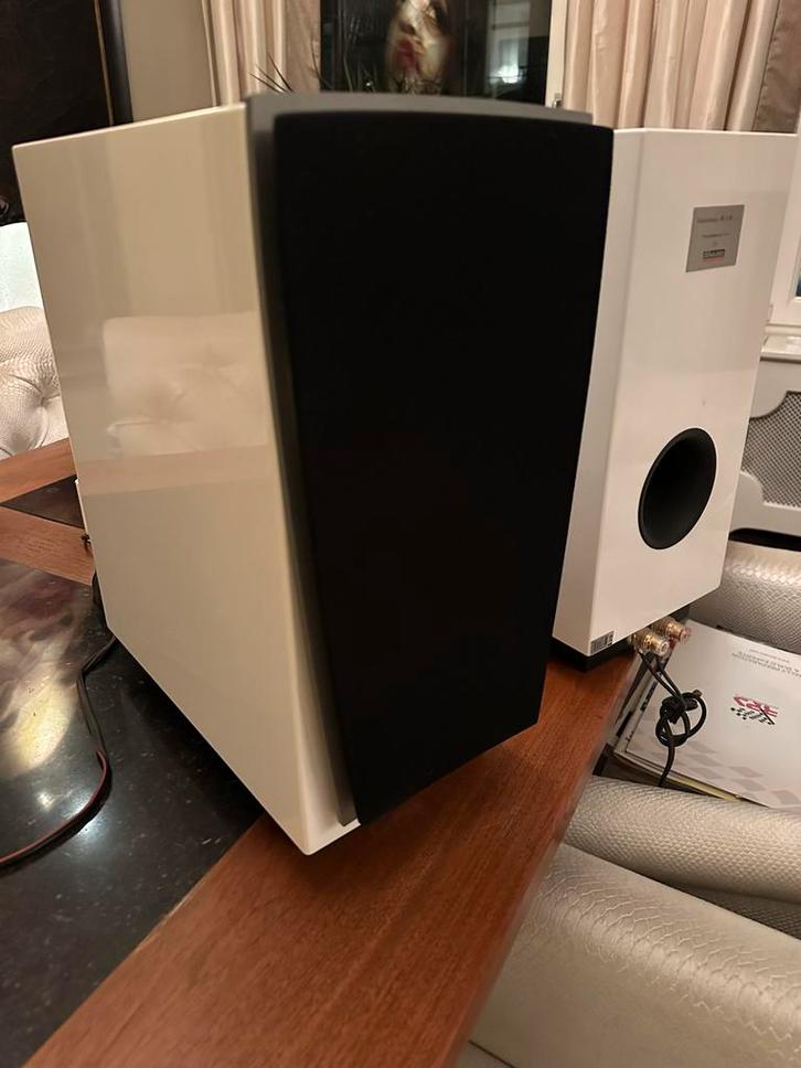 Uniek DYNAUDIO Contour S1.4 luidsprekers 160Wx2- Nieuwstaat!, Audio, Tv en Foto, Luidsprekers, Zo goed als nieuw, Front, Rear of Stereo speakers