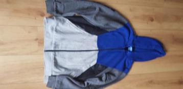 Adidas vest met capuchon, maat M. Goede ritssluiting. beschikbaar voor biedingen